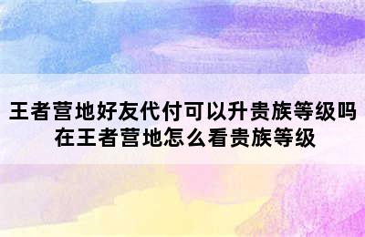 王者营地好友代付可以升贵族等级吗 在王者营地怎么看贵族等级